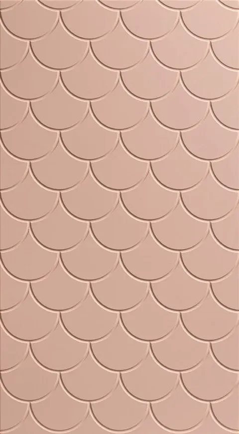 Изображение Комодо